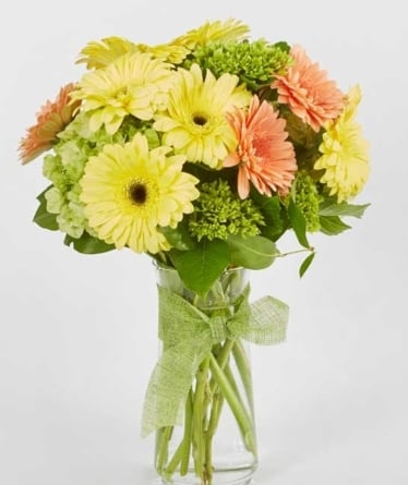 Shine on! - Cheerful mini gerberas in a round bouquet (Small)