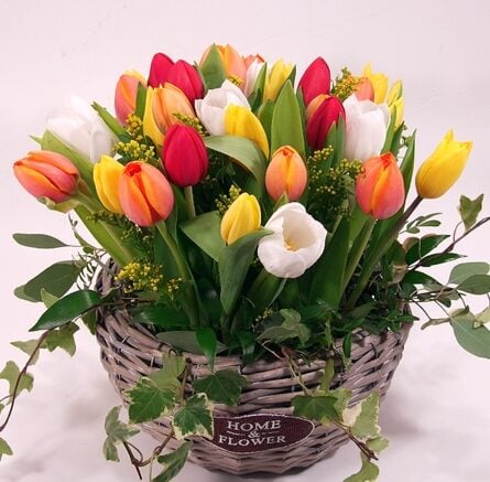 Rainbow tulip basket XL