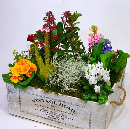 Spring treasure garden XL