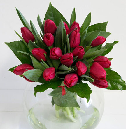 Do you still love me? Bouquet of red tulips XXL