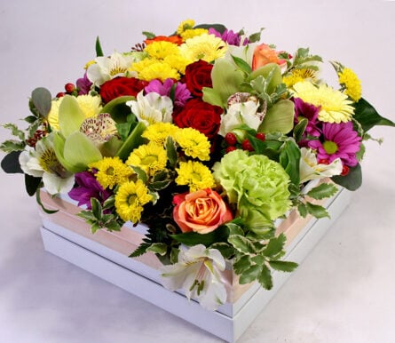 I am waiting for you summer! - colorful flower box L