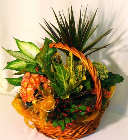 Flower Garden In The Basket