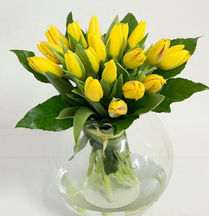 Yellow tulips - spring bouquet XXL