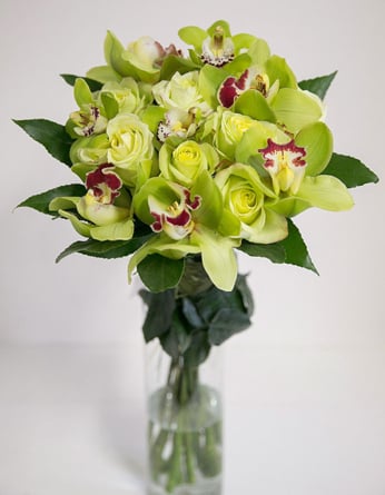 Green orchids with roses - in a round bouquet (Medium)