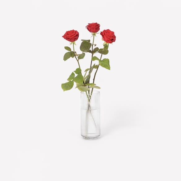 3 red roses