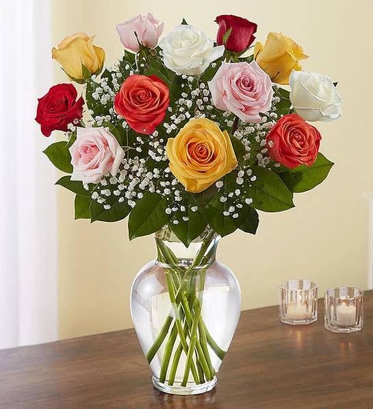 Rose Elegance Premium Long 24 Stems Assorted Roses