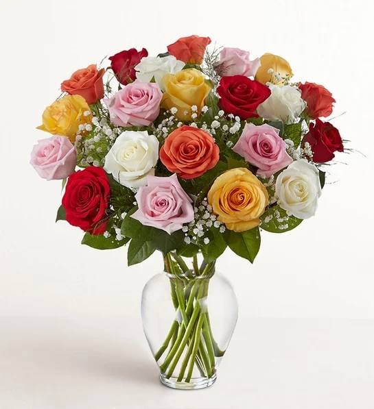 Ultimate Elegance Long 48 Stems Assorted Roses