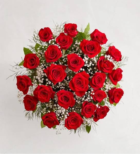 Ultimate Elegance Long 48 Stems Red Roses