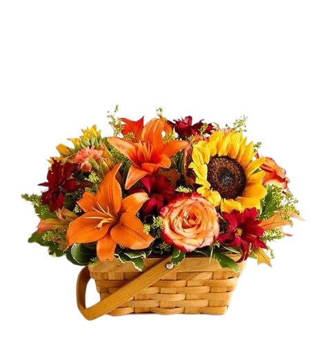 Fields of Europe® for Fall Basket (Small)