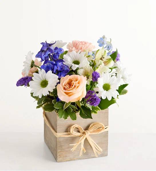 Coastal Breeze (Small)
