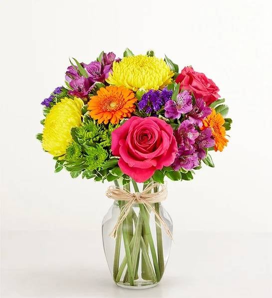 Fields of Europe® Celebration (Medium)