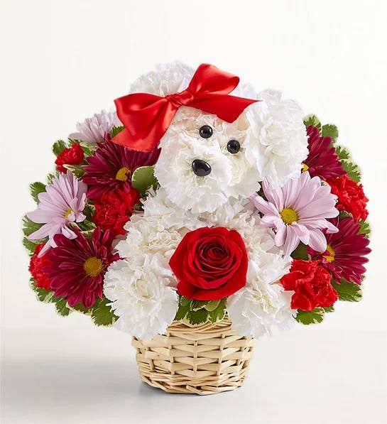 Love Pup Arrangement