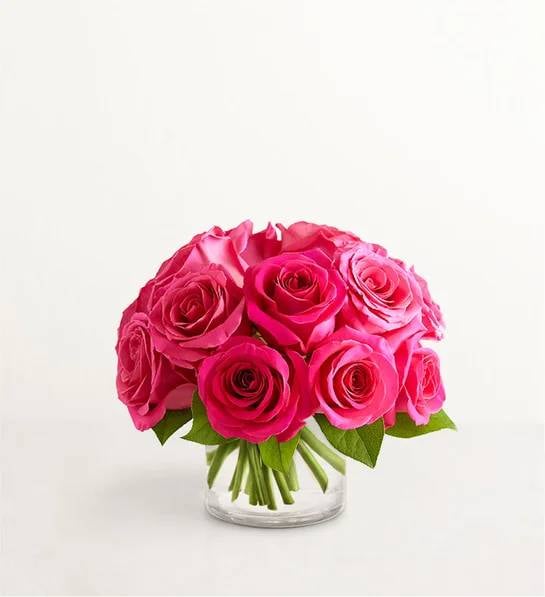 Contemporary Hot Pink Roses (Small)