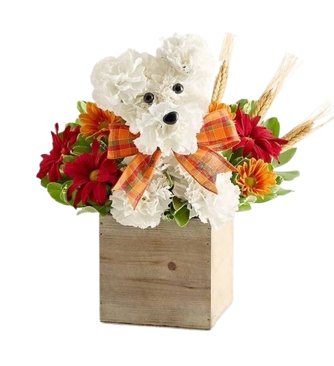 a-DOG-able® for Fall