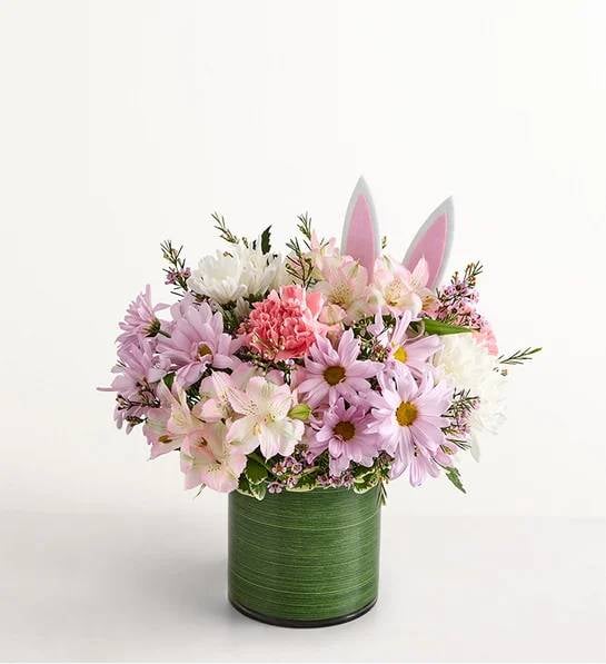 Peter's Delight (Small)