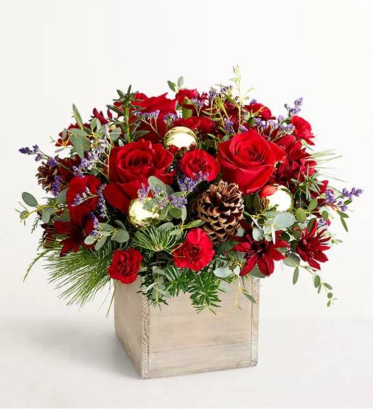 Russet Charm (Medium)