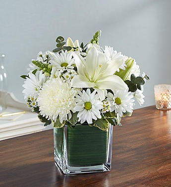 Healing Tears - All White (Medium)