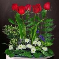 6 Red Roses & White Chrysanthemum Flower Small Table Arrangement