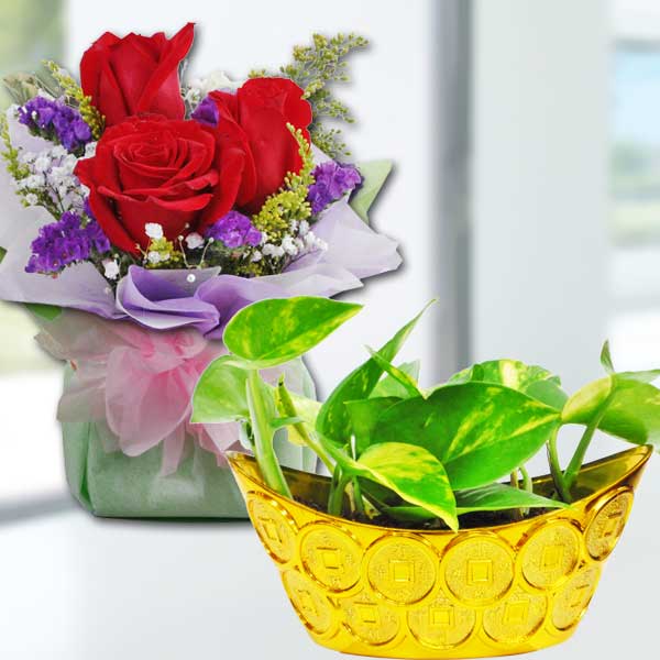 Moneycum Roses