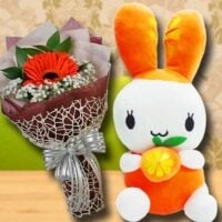 25 cm Bunny & Single Orange gerbera Bouquet