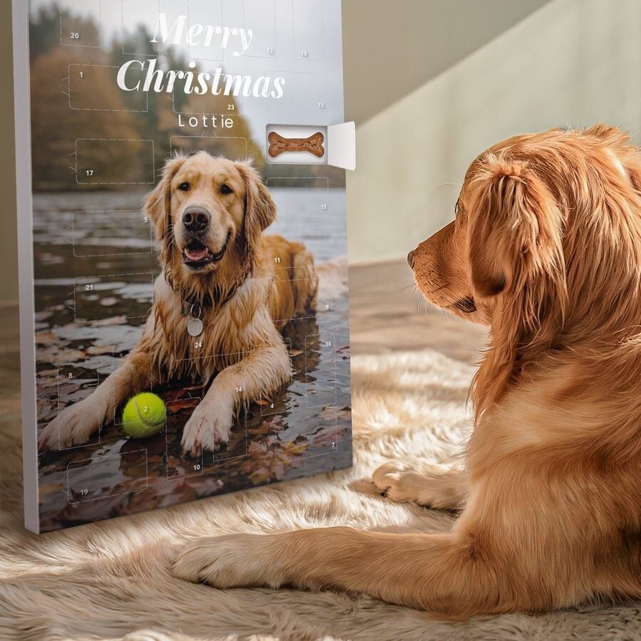 Personalized Advent Calendar Dog - Pedigree