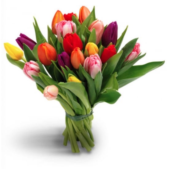 A MIXED COLOURS TULIPS BOUQUET ! (Small)