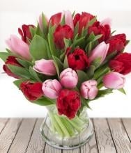 Red And Pink Tulips Vase