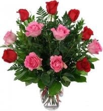 Blissful Blooms