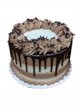 Tiramisu Dessert Cake