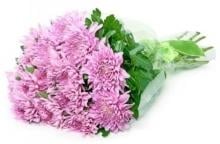 Bouquet Of Chrysanthemums
