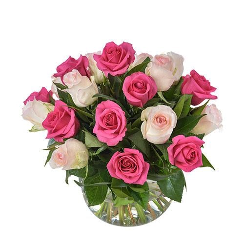 Delightful Pink And White Roses