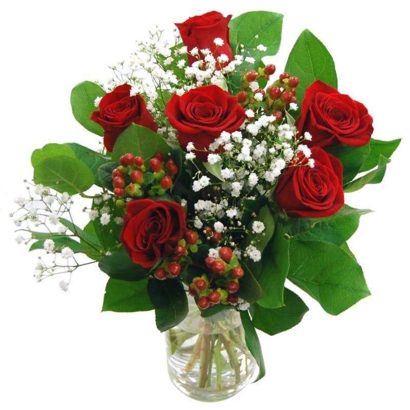6 Red Roses Vasee
