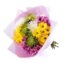 Purple, Yellow And White Chrysantimums