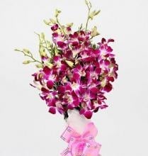Orchid Love