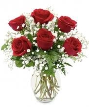 6 Red Roses Vase