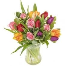 Mixed Color Tulips In A Vase
