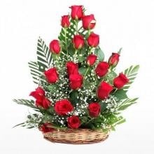 Gorgeous Roses