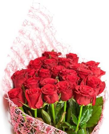 24 Red Roses Bouquet