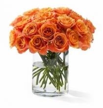 Orange Peel