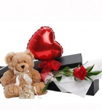 Gift Box With Teddy