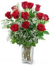 Fragrant Roses