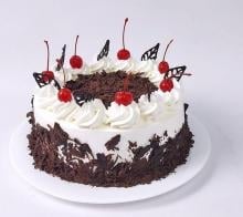 Frosty Forest Cake