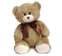 Medium Brown Teddy Bear