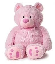 Small Pink Teddy Bear