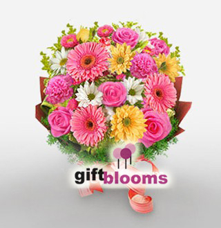 Loverly Gerberas to Macau