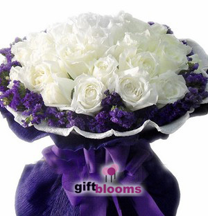 White Rose Sympathy to Macau