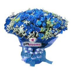 Three Dozen Blue Rose to Indonesia