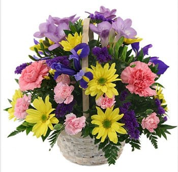 Spring is Warm Flower Basket to Japan