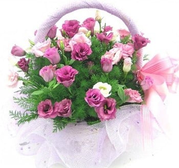 Basket of Love to Japan