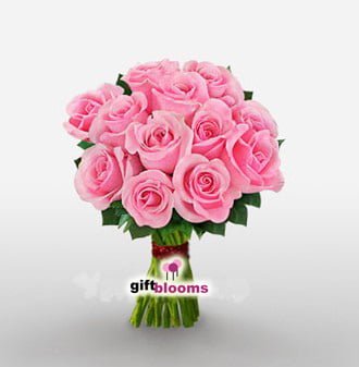 One Dozen Pink Rose to Japan